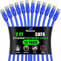 Maximm Cat 6 Ethernet Cable 2 Ft, Cat6 Cable, LAN Cable, Internet Cable by MaximmCable