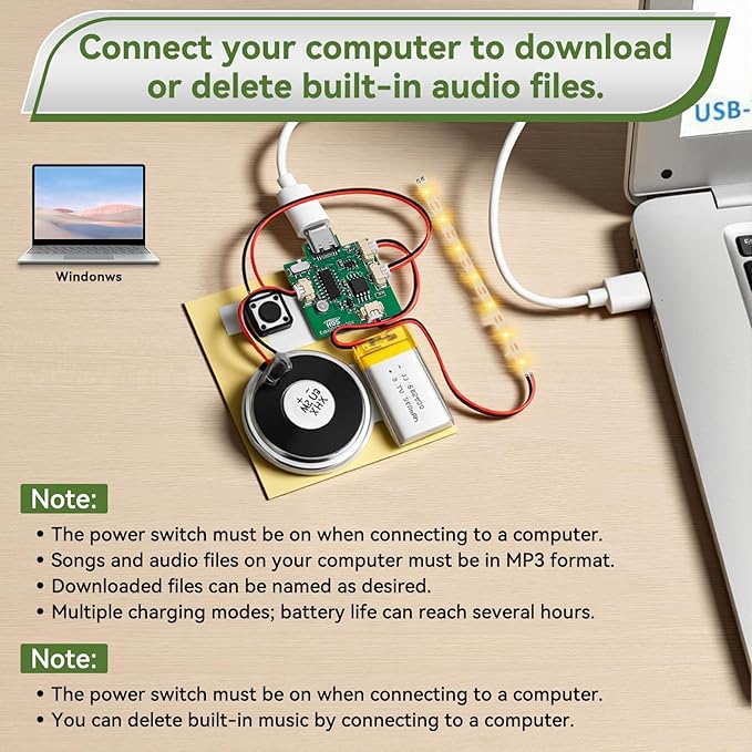 2PCS Customize Recording Module with LED Strip DIY Music Voice Recording Module Chip with Speaker,Type-C Cable,Capability16 Minutes Music for Personalized Greetings, Holiday Crafts Cards with Manual