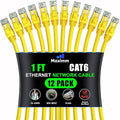 Maximm Cat 6 Ethernet Cable - 1 ft - High-Speed LAN by MaximmCable