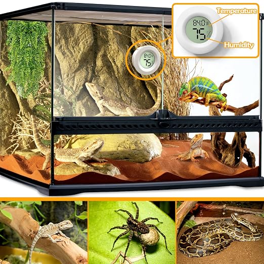 2 PCS White Reptile Thermometer and Humidity Gauge - Image 2