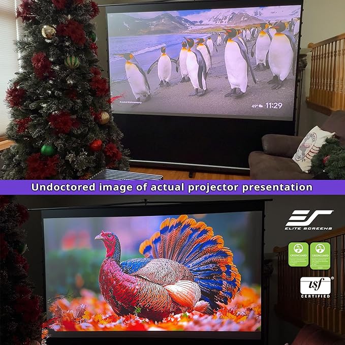 Elite Screens ezCinema Tab-Tension CineGrey 4D, 123-inch 16:9, Manual Floor Pull Up ISF Ceiling Ambient Light Rejecting, Portable Home Office Classroom Projector Screen with Carrying Bag, FT123UH-C4D
